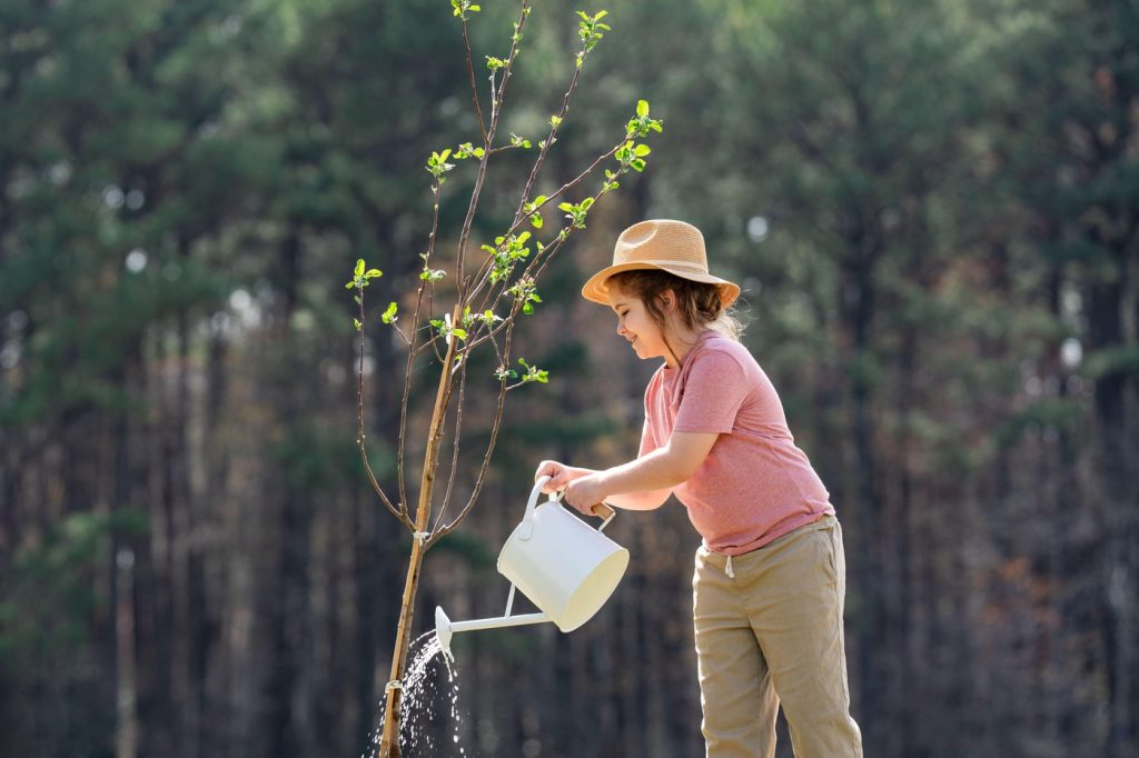 Martie, luna propice pentru plantarea pomilor fructiferi și a arborilor ornamentali Primele zile ale lunii martie reprezintă un moment ideal pentru plantarea diverselor specii de pomi fructiferi și arbori ornamentali