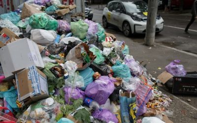 Sectorul 1 face pași spre o companie proprie de salubrizare, dar USR se opune Consiliul Local al Sectorului 1 a aprobat, marți, 31 martie 2026, un studiu de oportunitate pentru înființarea unei societăți de salubrizare
