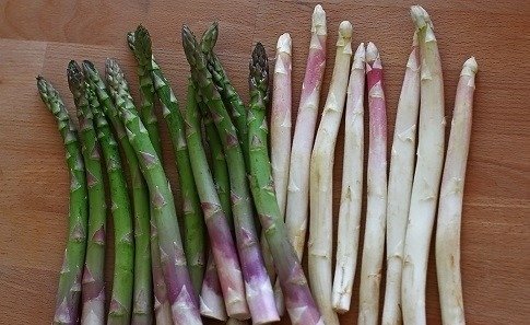 Revolta bucătarilor italieni: Sparanghelul timpuriu, o problemă pentru tradiție Un grup de 25 de proprietari de restaurante din regiunea Bassano, situată la nord de Veneția, au lansat un apel vehement împotriva includerii sparanghelului în meniurile restaurantelor lor înainte de data oficială de începere a sezonului