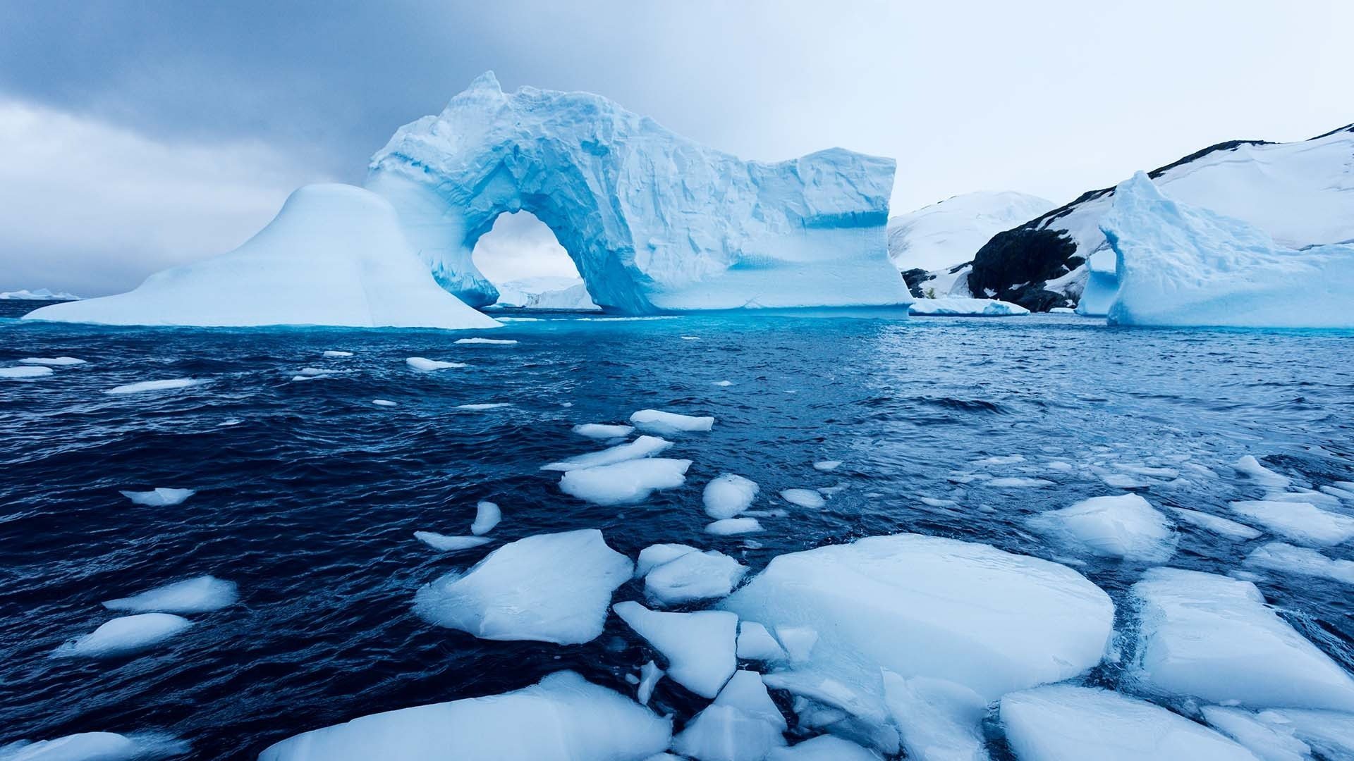 O capsulă a timpului înghețată: cercetătorii descoperă gheață antică în Alaska, martor al schimbărilor climatice O echipă de cercetători a descoperit în Alaska gheață veche de sute de mii de ani, o „capsulă a timpului” care ar putea oferi informații cruciale despre schimbările climatice din trecut și despre modul în care acestea ar putea afecta planeta în viitor