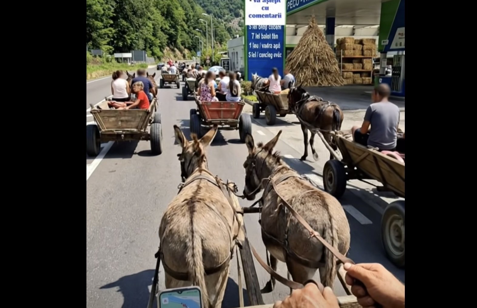 Video: Transport pe olt cu măgari și fân, în loc de benzină. Ce preț are motorina?