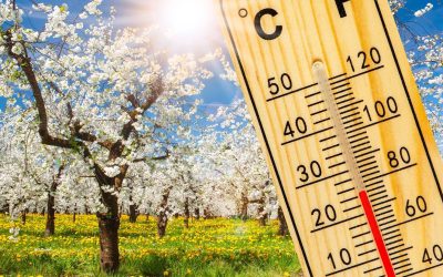 Vremea de Paște: Prognoza meteo anunță o sărbătoare cu vreme schimbătoare Bucureștenii și locuitorii din întreaga țară se pot aștepta la o perioadă de Paște cu vreme capricioasă