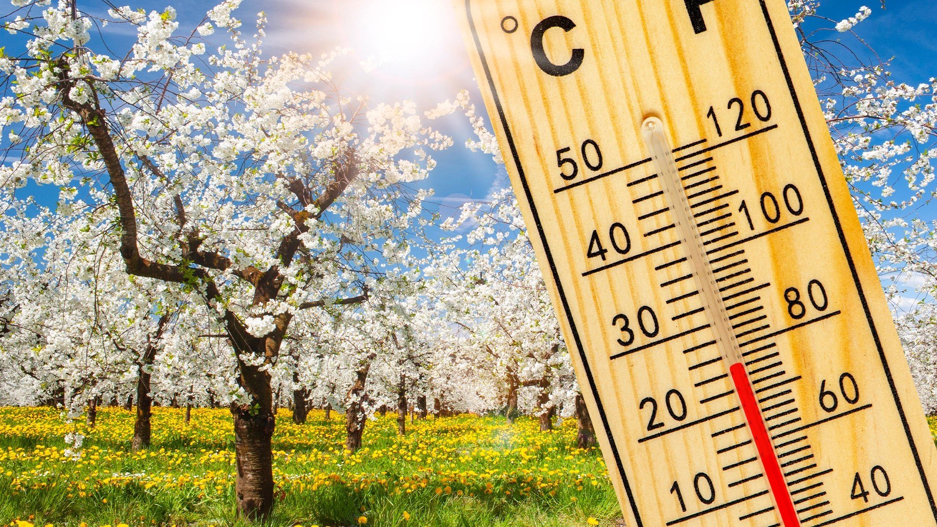 Vremea de Paște: Prognoza meteo anunță o sărbătoare cu vreme schimbătoare Bucureștenii și locuitorii din întreaga țară se pot aștepta la o perioadă de Paște cu vreme capricioasă