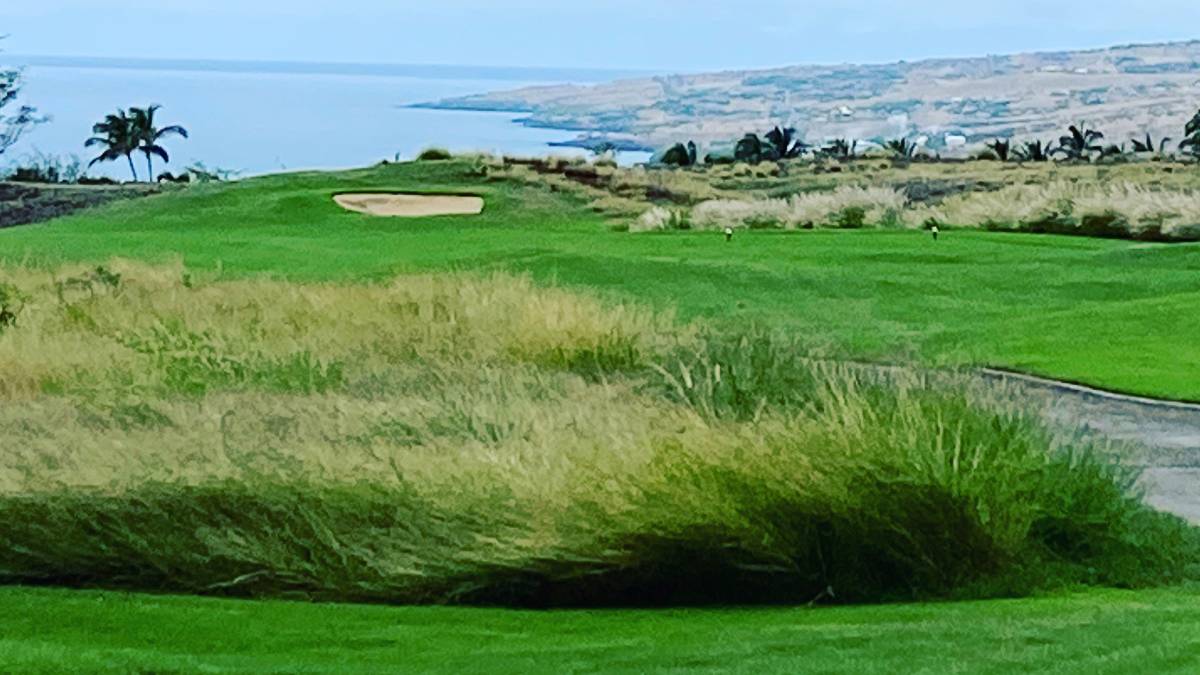 Vremea în Hawaii: Ploi, vânt puternic și avertizări maritime Hilo, Hawaii – Locuitorii insulelor Hawaii se pregătesc pentru o schimbare a vremii în weekend, cu prognoze indicând ploi abundente, vânturi puternice și avertizări maritime