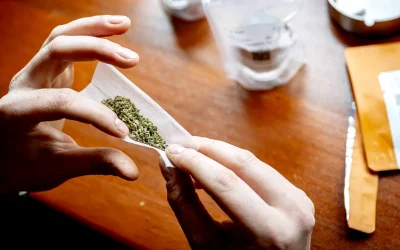 Centru gratuit în București pentru tinerii dependenți de droguri, Sectorul 1