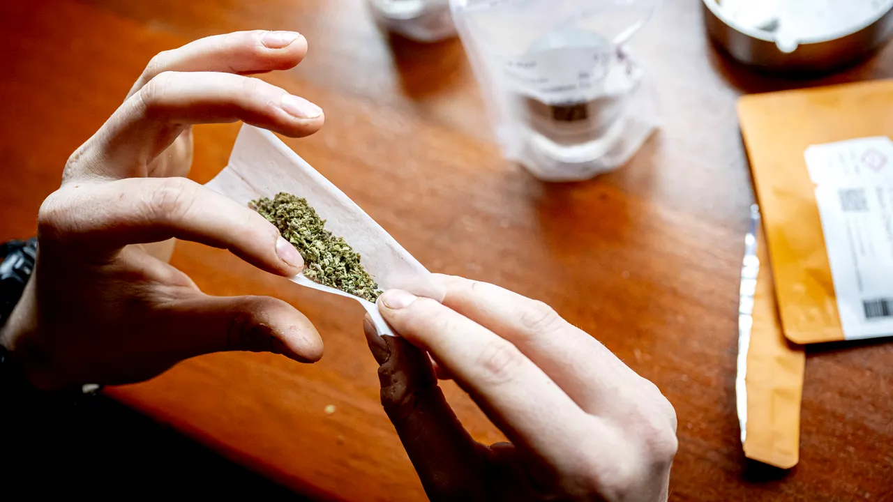 Centru gratuit în București pentru tinerii dependenți de droguri, Sectorul 1