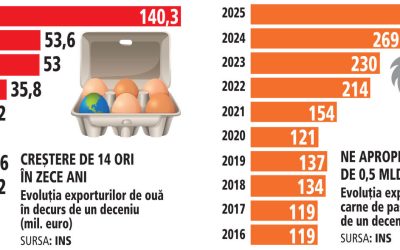 România, pe val în industria avicolă: Sute de milioane de euro investiți, exporturi record