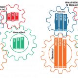 IMM-urile, motorul economiei: 75% din angajați și profituri considerabile