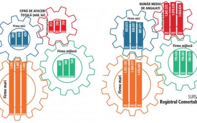 IMM-urile, motorul economiei: 75% din angajați și profituri considerabile