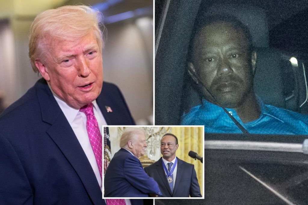 Trump despre accidentul lui tiger woods: „prietenul vanessei trăiește o viață de chin”