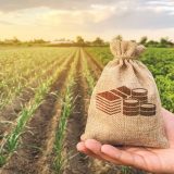 Afacerea terenurilor: Străinii încasează subvenții grase în România, românii – puține