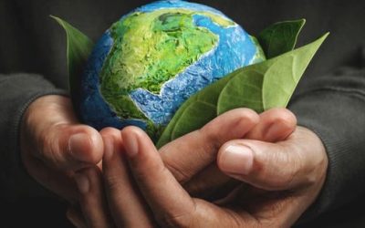 Ziua Pământului: Apel PENTRU un stil de viață sustenabil, în Europa