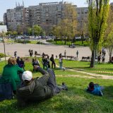 Arborii din Parcul Tineretului, în pericol: Cum pot fi salvați plopii din București