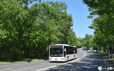 Florii: 4 linii STB deviate în weekend