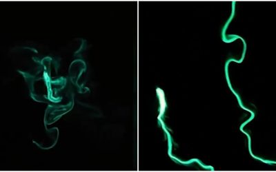 Viermii de foc aprind oceanul în SUA: Imagini spectaculoase din Long Beach