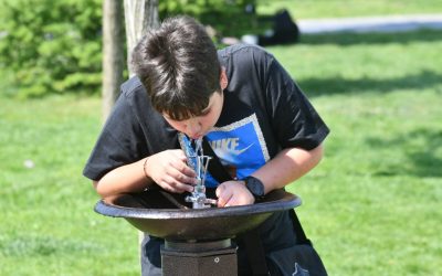 Primăria Sectorului 6, contratată pentru cișmele: De la video la doi angajați