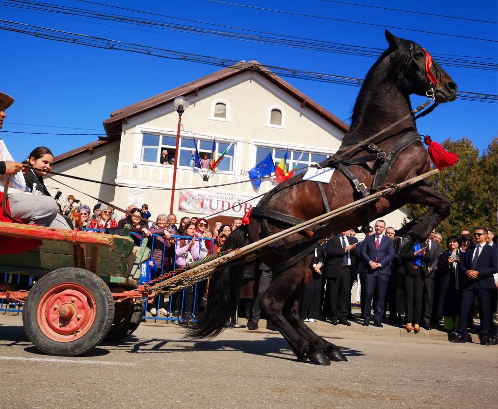 Paștele Cailor chiar există! Uite unde și cum se sărbătorește!