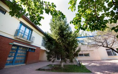 Căsuțele pentru copii din Sectorul 6, desființate: Ce urmează în București?