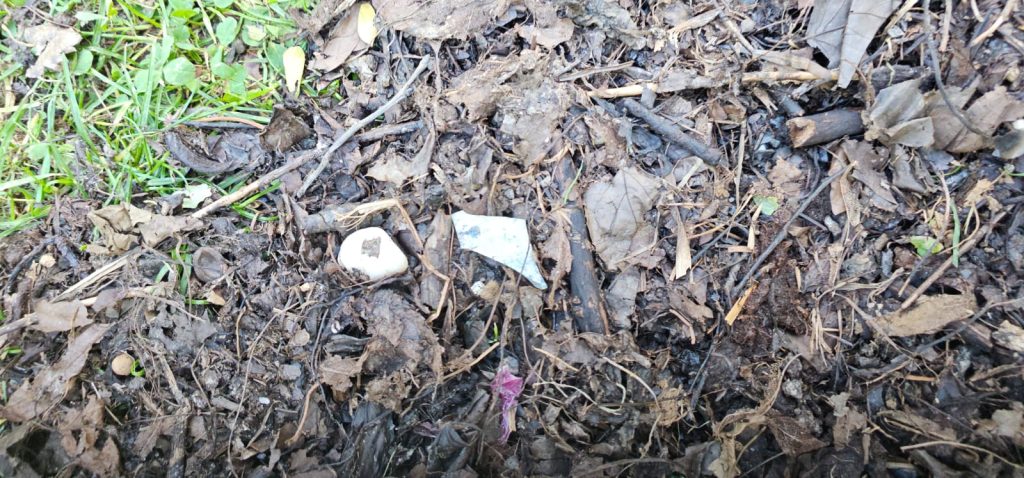 Primăria Sectorului 3 distribuie compost cu deșeuri, inclusiv cioburi de sticlă și plastic Bucureștenii din Sectorul 3 reclamă calitatea compostului distribuit gratuit de primărie pentru grădinile de bloc