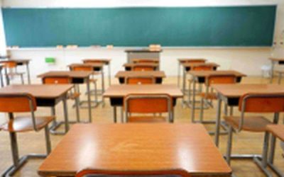 Ministrul Muncii, anunț despre controale: Peste 700 de inspecții în martie