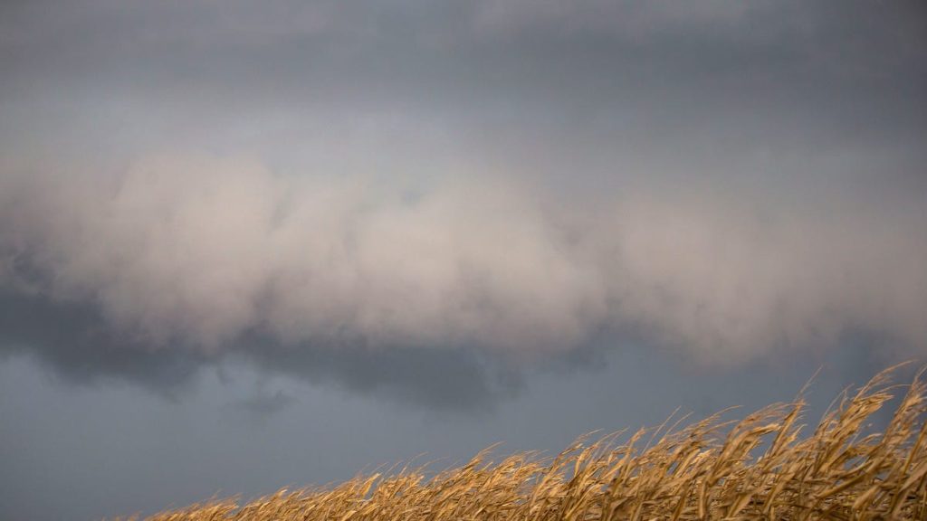Furtuni puternice se apropie de centrul statului illinois