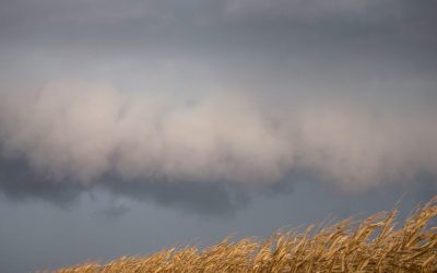 Furtuni puternice se apropie de centrul statului illinois