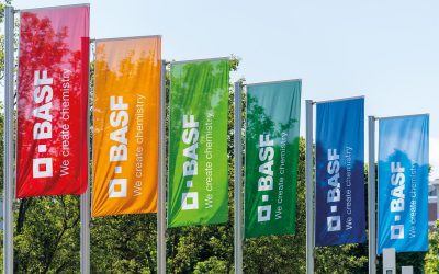 BASF angajează peste 50 de specialiști în București: Ce posturi sunt disponibile