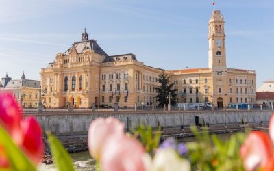 Oradea: Consilierii fac „upgrade” de posturi. De la îngrijitor, la inspector