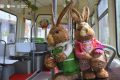 STB dă startul „Tramvaiului Iepurașului” înainte de Paște: Rută și orar