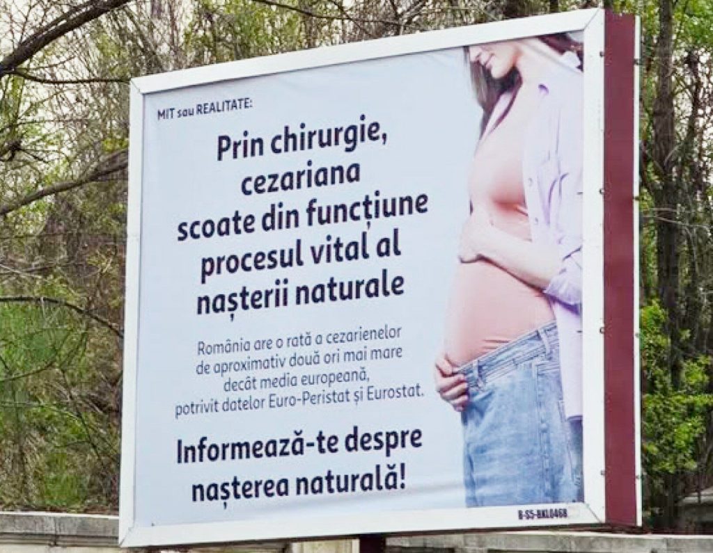 Cynthia Păun, scandal cu panourile: Cere intervenție urgentă în 2026