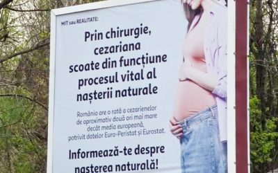 Cynthia Păun, scandal cu panourile: Cere intervenție urgentă în 2026