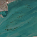 Deversări URIAȘE de petrol în Golful Persic, VĂZUTE din spațiu