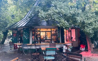 Mii de oameni contra lui Ciucu: „Nu desființa terasa din Cișmigiu!”