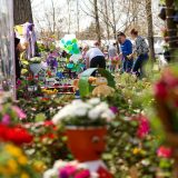 Simfonia Lalelelor, la Pitești: Florari din toată România expun flori