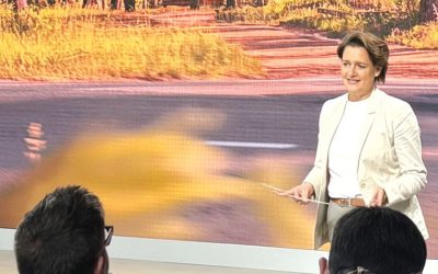 România, paralizată de crize, în timp ce Ungaria atrage BMW și BYD, iar Dacia ocolește Mioveniul