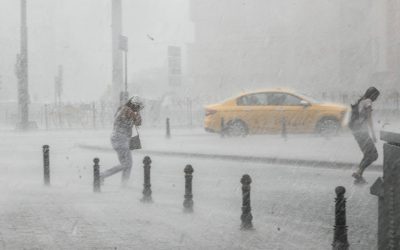 Alertă meteo: Ploi și vânt puternic în București, începând de joi Bucureștenii se pregătesc de o perioadă cu vreme închisă și ploi, conform unei informări meteorologice emise de Administrația Națională de Meteorologie (ANM)