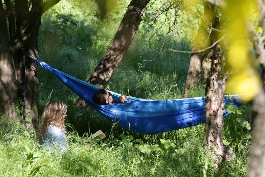 Școala care face elevi milionari: Mii de euro la un concurs despre natură