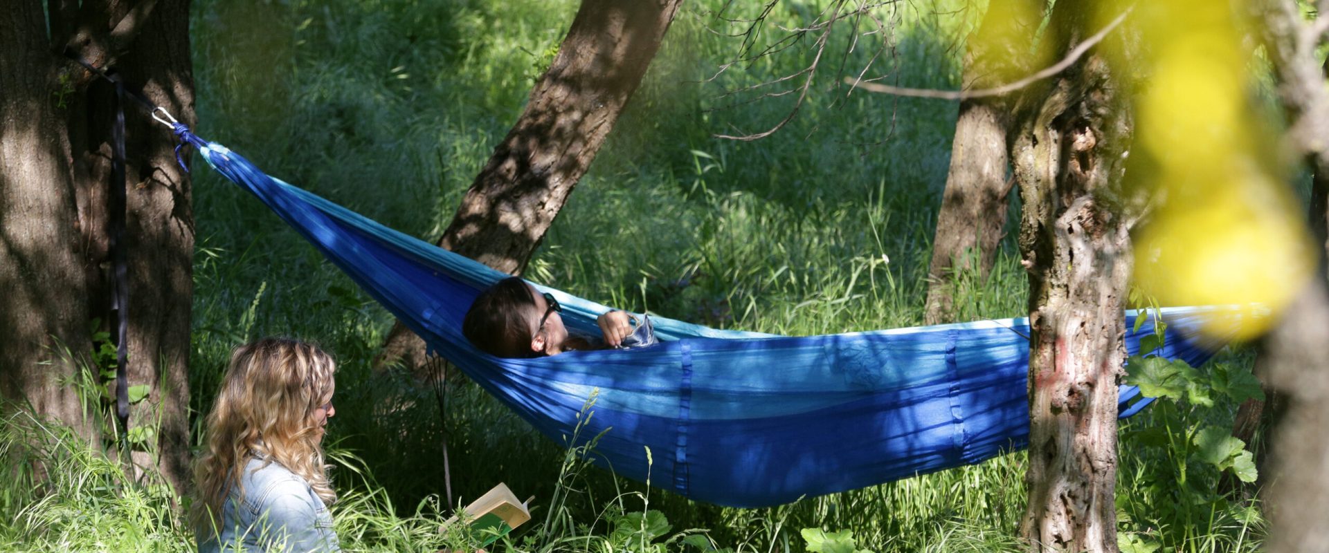 Școala care face elevi milionari: Mii de euro la un concurs despre natură