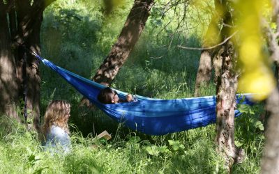 Școala care face elevi milionari: Mii de euro la un concurs despre natură