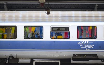 Copac prăbușit pe șine: Trenurile blocate pe ruta Brașov-Sighișoara