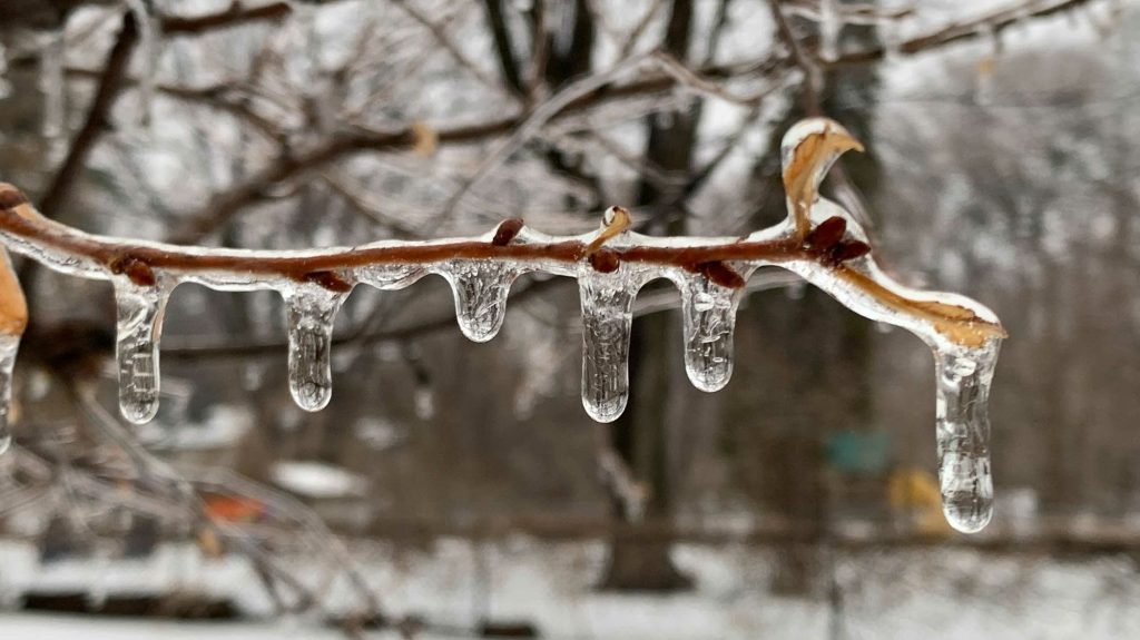 Consimțământul pentru datele personale: Cum afectează utilizatorii o nouă politică online Utilizatorii de internet sunt tot mai preocupați de modul în care informațiile lor personale sunt folosite