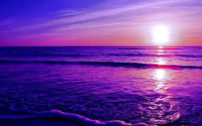 Oceanele lumii, transformare șoc: Devin violete! Schimbare majoră