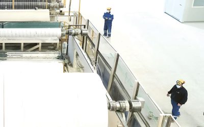 Sofidel, producătorul Regina, investește 10 milioane euro în extinderea producției