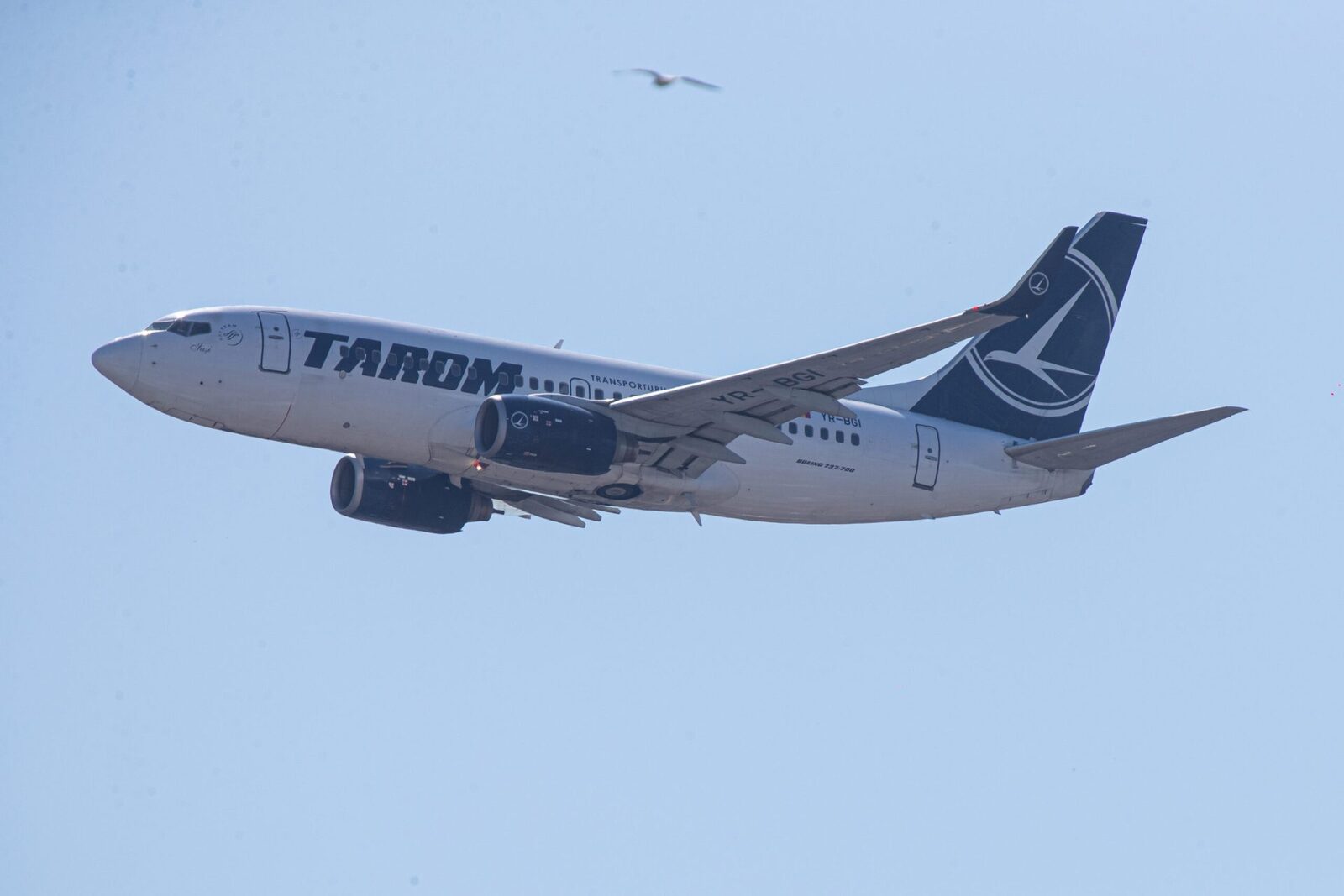 Sindicaliștii TAROM protestează în Piața Victoriei: Acuză Guvernul de „distrugere”