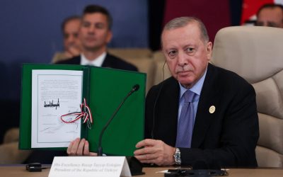 Erdogan, discuții cu șeful NATO: Turcia, eforturi pentru dialog Ucraina-Rusia
