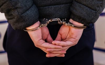 Brașov: Doi bărbați au vânat ilegal un urs la Victoria. Au folosit termoviziune