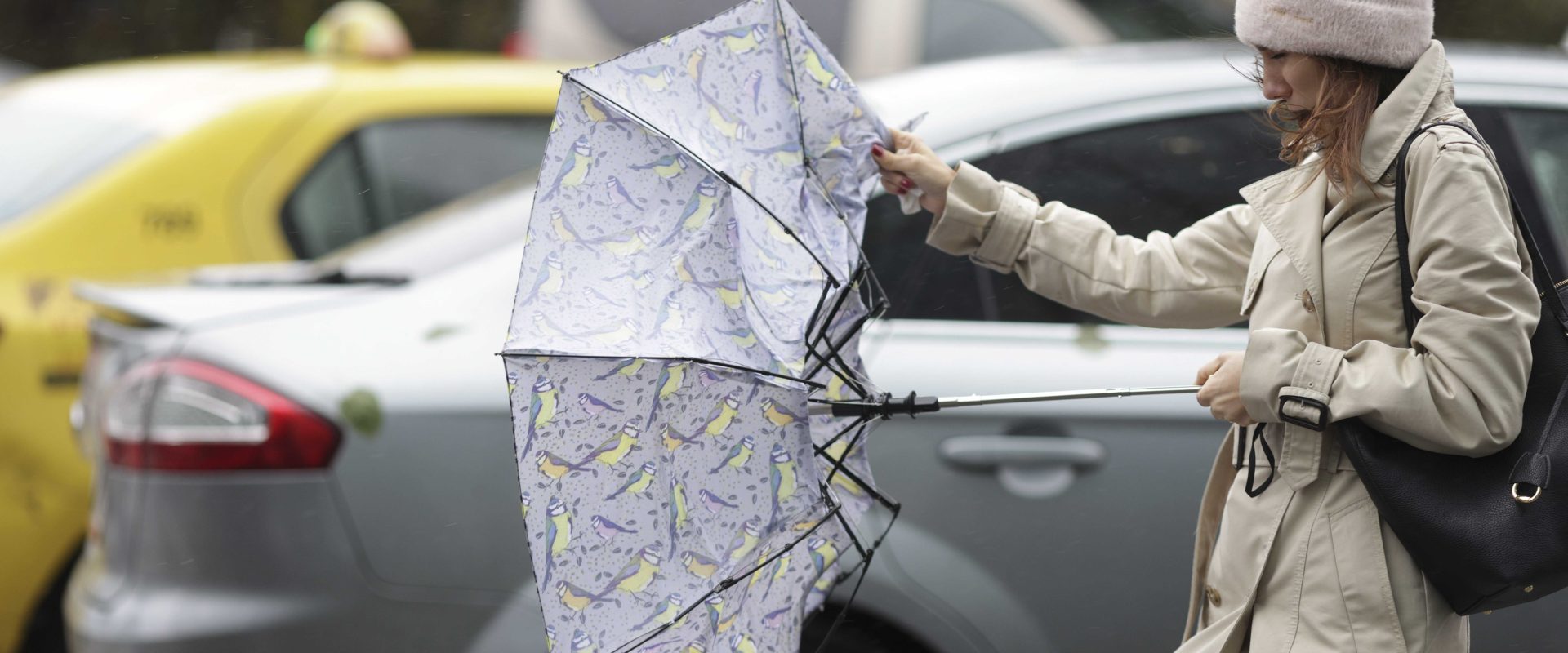 Alertă meteo pentru toată țara: ploi, vânt puternic, grindină și ninsori. Cum va fi vremea în București