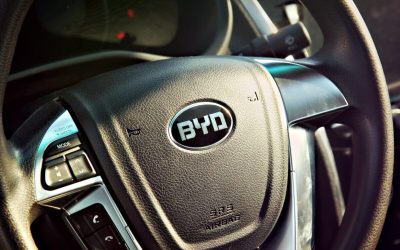 BYD, gigantul auto chinez, acuzat de sclavie în Ungaria: Muncitori exploatați