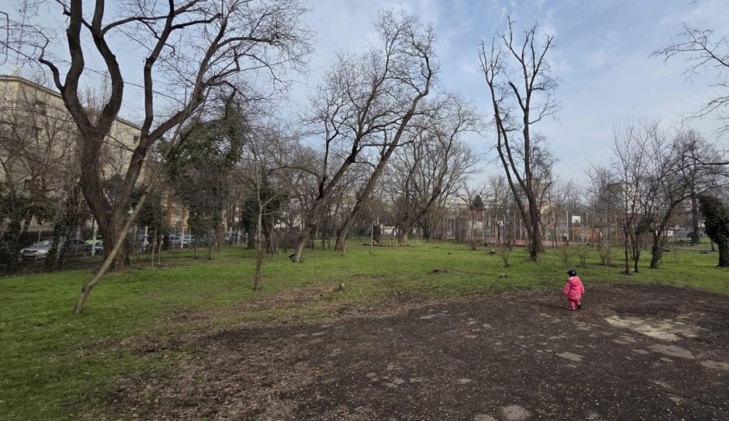 Asociația Părinți de Cireșari trage un semnal de alarmă cu privire la starea precară a Bazei Sportive Cireșarii din Sectorul 1, acuzând blocaje constante în procesul de reabilitare și lipsa de reacție a instituțiilor responsabile