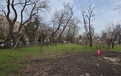 Asociația Părinți de Cireșari trage un semnal de alarmă cu privire la starea precară a Bazei Sportive Cireșarii din Sectorul 1, acuzând blocaje constante în procesul de reabilitare și lipsa de reacție a instituțiilor responsabile
